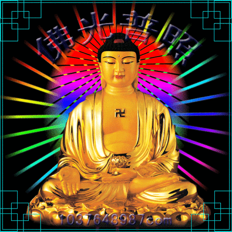 500_500gif 动态图 动图