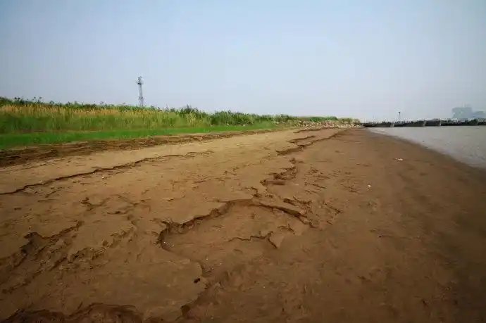 山东东营黄河口湿地公园赏秋