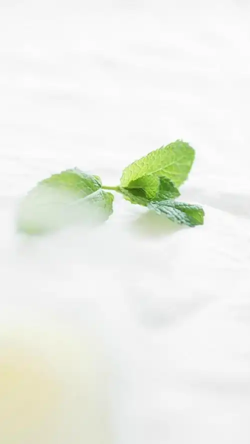 简约森系小清新手机壁纸图片_唯美图片_kanqq个性网手机版