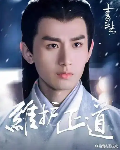 这个角色对于演员的外形,气质都很高.