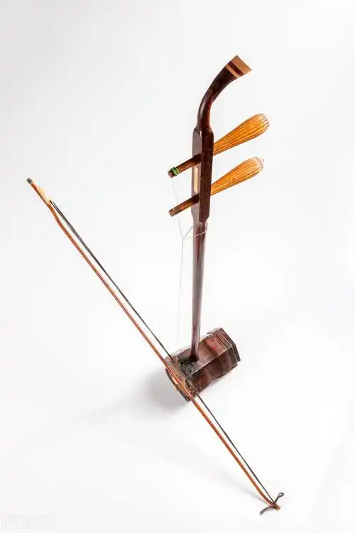 世界上所有乐器名称(国际乐器有哪些)插图(7)