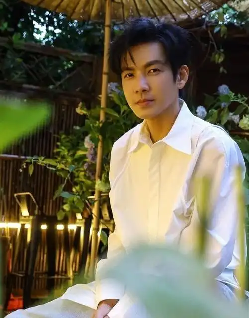 事实证明,曾经的天涯四美,已在"非著名演员"的路上,越走越远