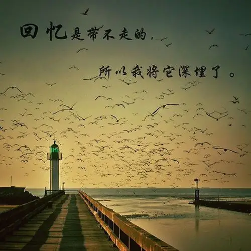 关注   唯美意境网文字控-搜狗搜索  收藏