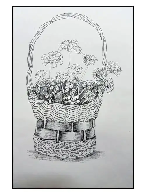 线描花篮_绘画_文化_绘画