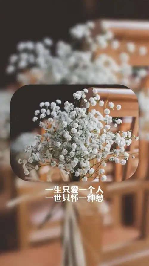 6plus壁纸 锁屏 《最爱》一生只爱一个人,一世只怀一种愁.