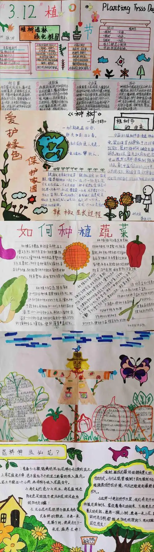 画一般小学生炒的茄子手抄报小学生手抄报