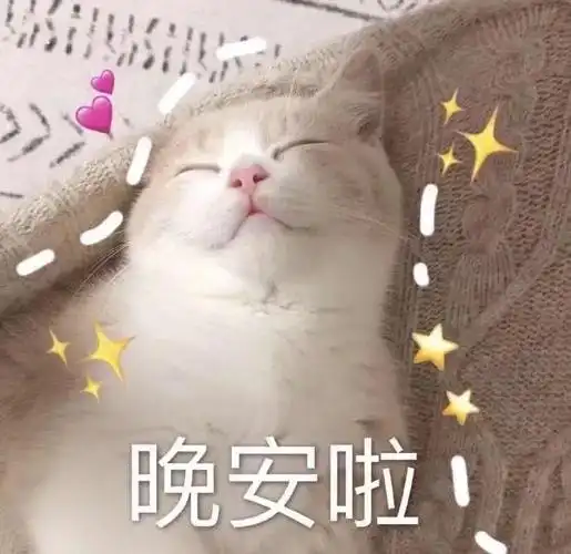 萌宠gif猫星人gif晚安啦gif睡觉gif搞怪gif逗gif
