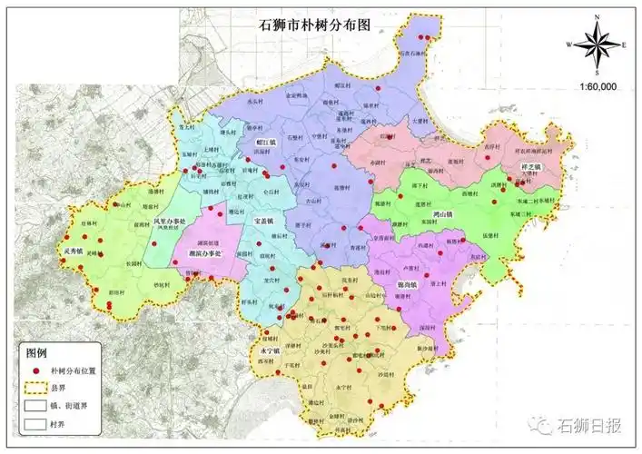 石狮市树都长在哪些地方朴树分布图来了