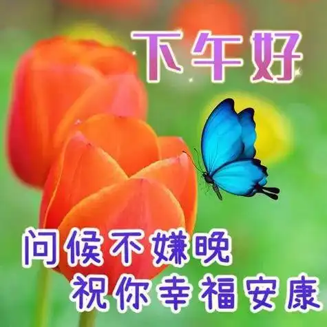 下午好图片带字祝福开心相伴快乐相随
