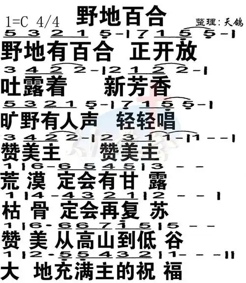 第59首 - 野地百合 简谱大字版_简谱_乐谱吧