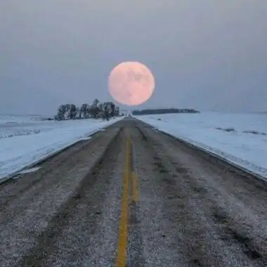 适合70后做头像的图片(共20张)-非主流之家