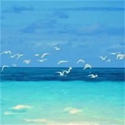 真实风景图片大自然花草微信头像唯美风景高清