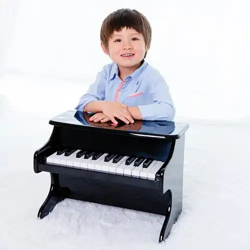 木马智慧小钢琴儿童玩具迷你木质仿真25键儿童钢琴可弹奏男孩女孩