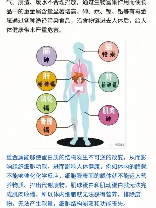 关于重金属中毒与白癜风