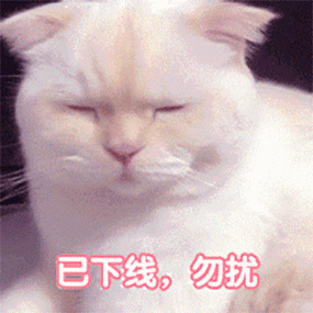 萌宠猫星人已下线勿扰呆萌可爱gif动图_动态图_表情包下载_soogif