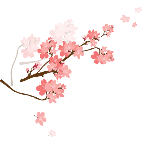 樱花png透明无水印高清免抠图片素材免费分享下载