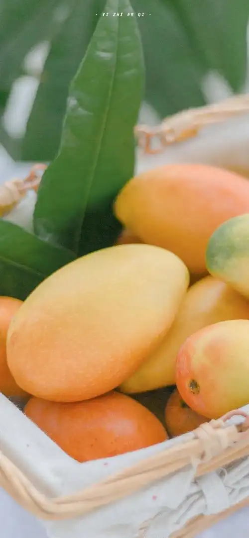 小清新芒果摄影高清手机壁纸
