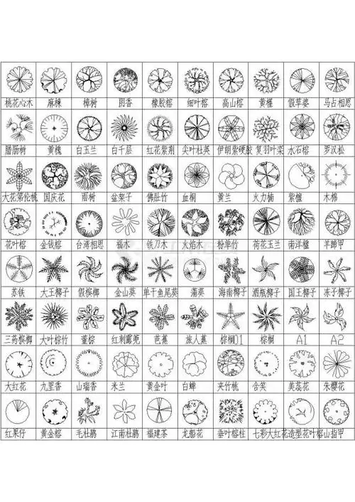 绿化设计中常用的上百种乔木灌木设计图例