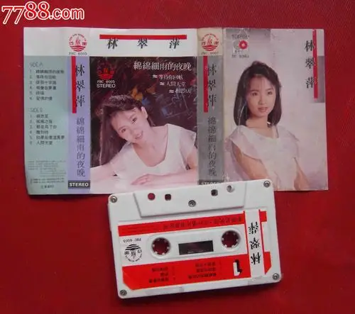 林翠萍--绵绵细雨的夜晚------(10个以上包快递!