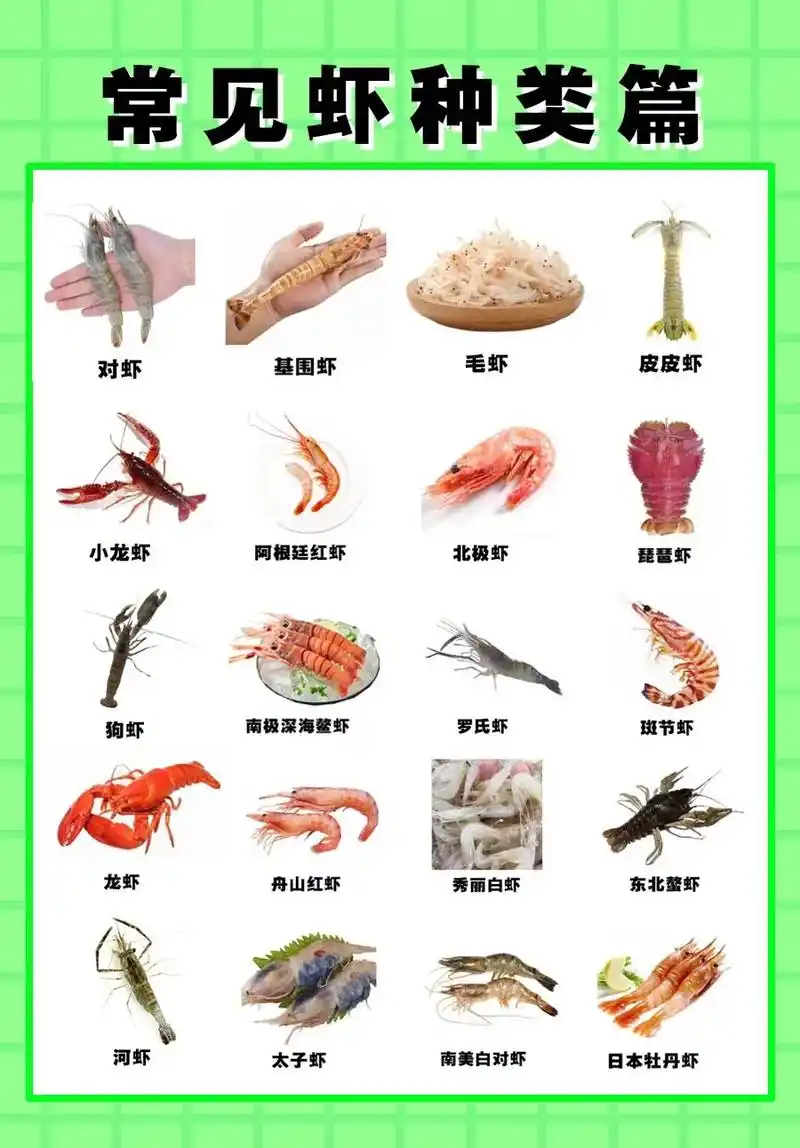 常见虾的种类篇.虾可分为海水虾和淡水虾两种. 其中海水虾包括 - 抖音
