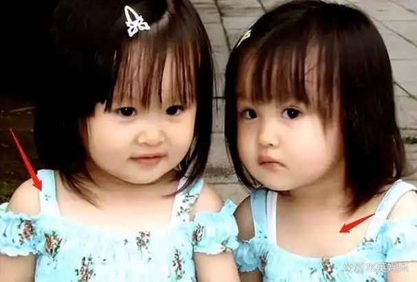 谢娜双胞胎女儿的独特成长之路基因与环境的完美融合