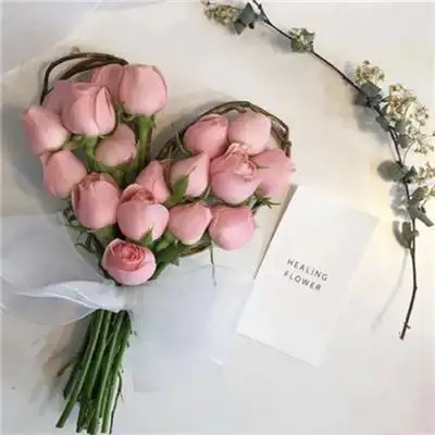 唯美高级感ins风鲜花背景图大全