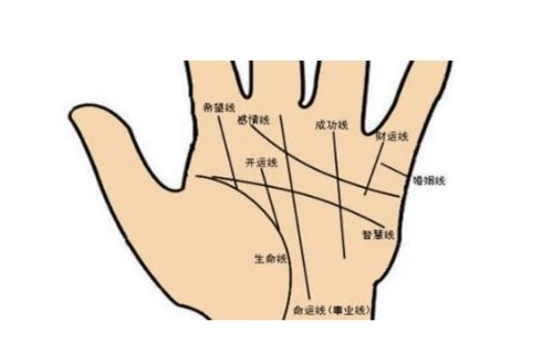 从婚姻线来看结婚的年纪-风水八字同城网