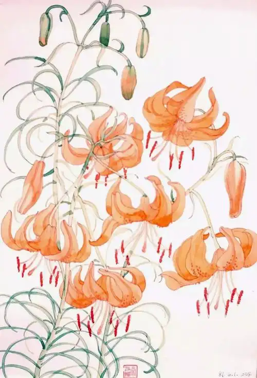 沙漠之花常沙娜敦煌壁画临摹手稿与图案80幅