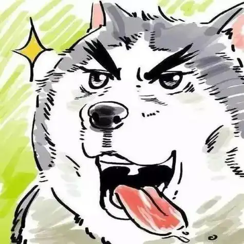 情侣头像帮助单身狗早日脱单