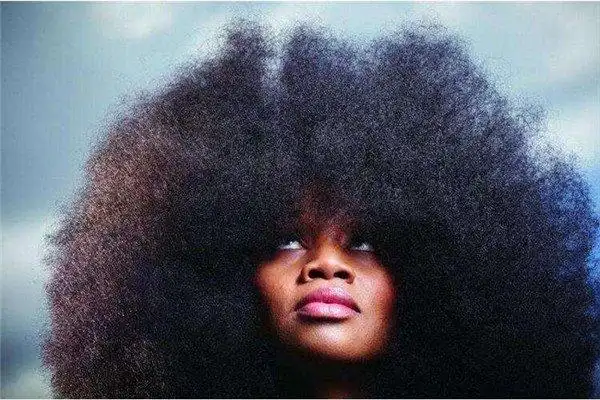 世界上最大的爆炸头看起来就像是一个黑球直径90cm