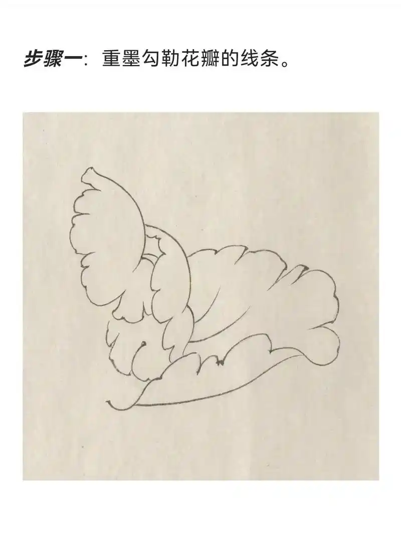 牡丹花瓣怎么上色?简单几步看明白#工笔画#牡丹#国画#花鸟画 - 抖音