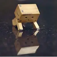 寂寞样子的张小盒头像图片让我们一起陪它吧