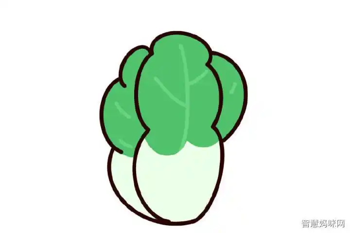 香青菜简笔画