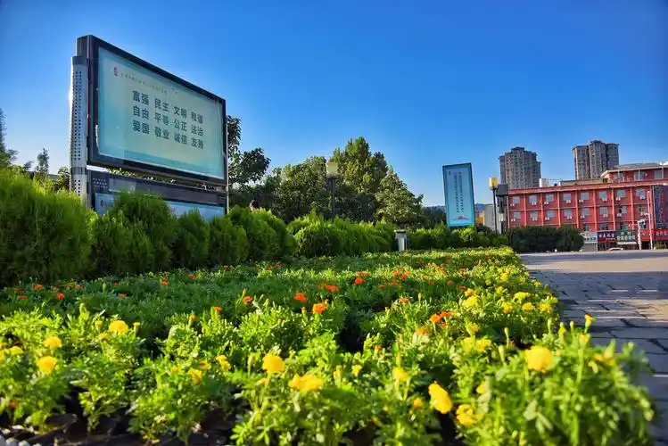 摆放景观花卉 扮靓城市环境