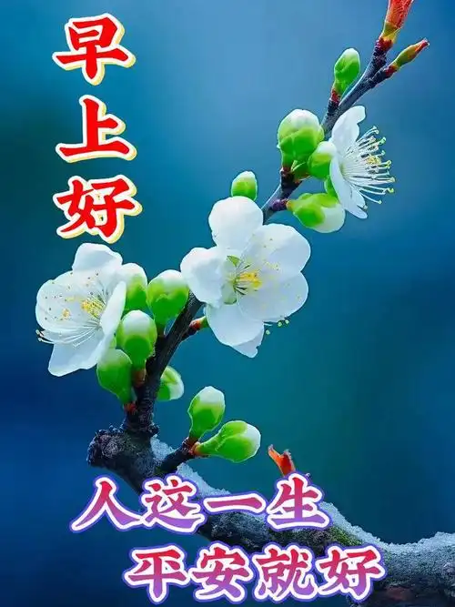 唯美暖心早安问候照片早安漂亮图片问候祝福语句子这个早上好祝福真