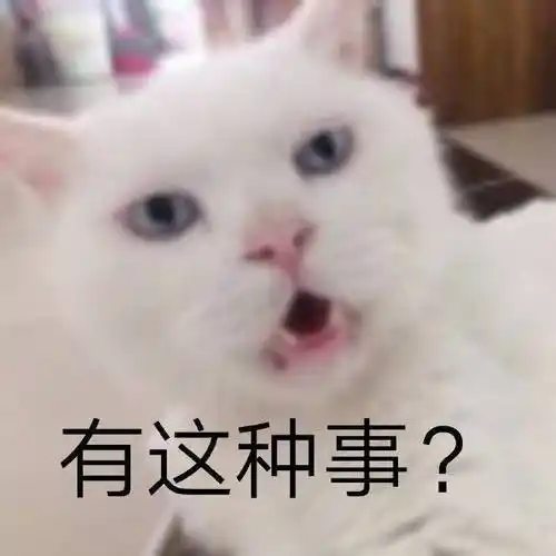 有这种事猫咪表情包猫咪这种表情