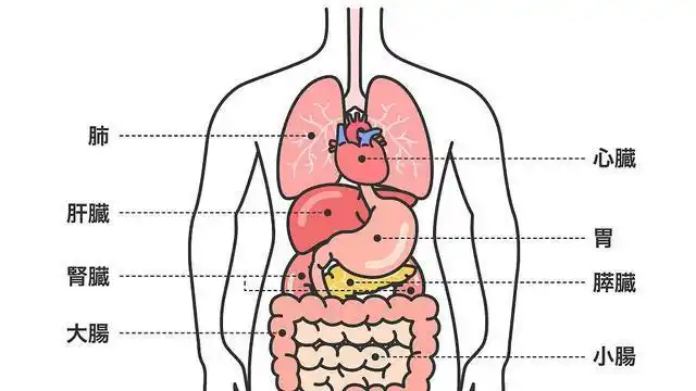 出现这4个症状,劝你不要喝酒|脂肪肝|酒精中毒_网易订阅