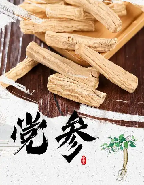 党参的功效与作用 党参的性味归经与功效作用-伙伴百科网-让你的生活