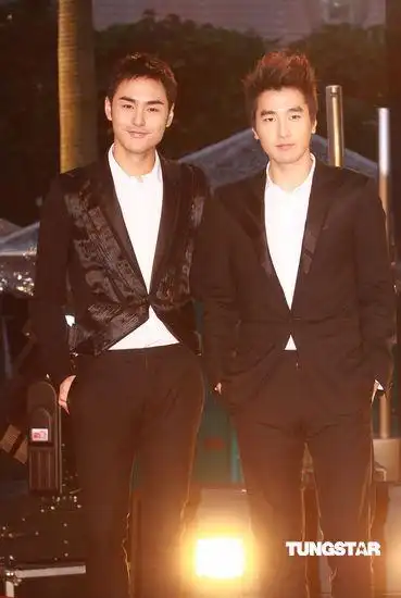 图文29届香港金像奖红毯赵又廷阮经天有型