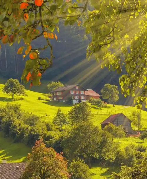荷兰美丽的羊角村#治愈系风景 - 抖音