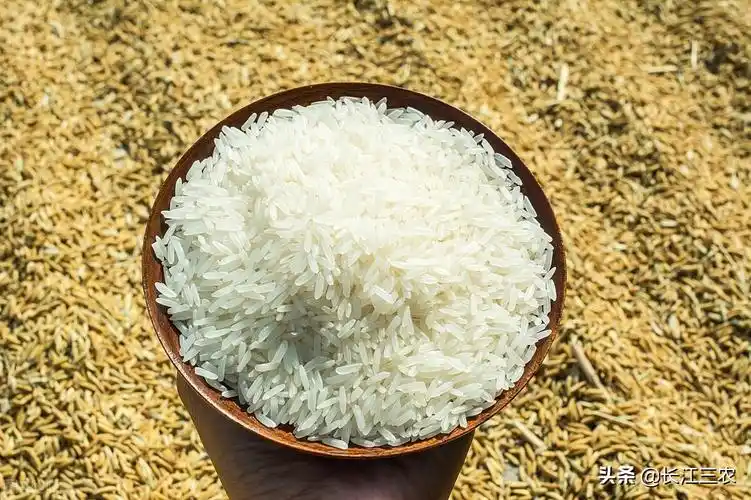 全球最大的大米生产国是中国和印度,2021——2022年度中国大米产量1.