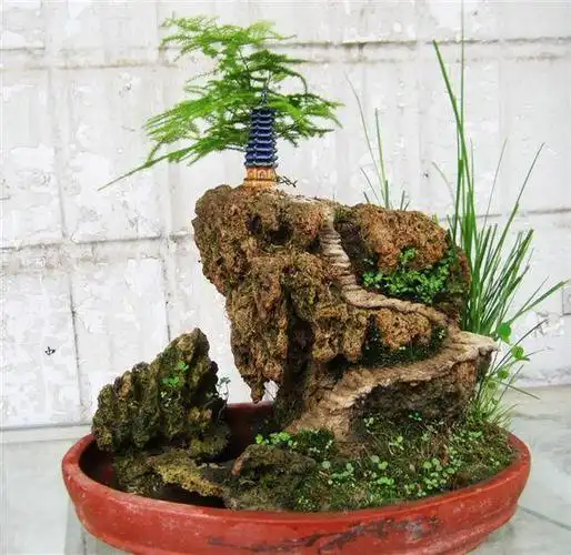 上水石的摆放风水禁忌,你知道吗?|卧室|盆景_网易订阅