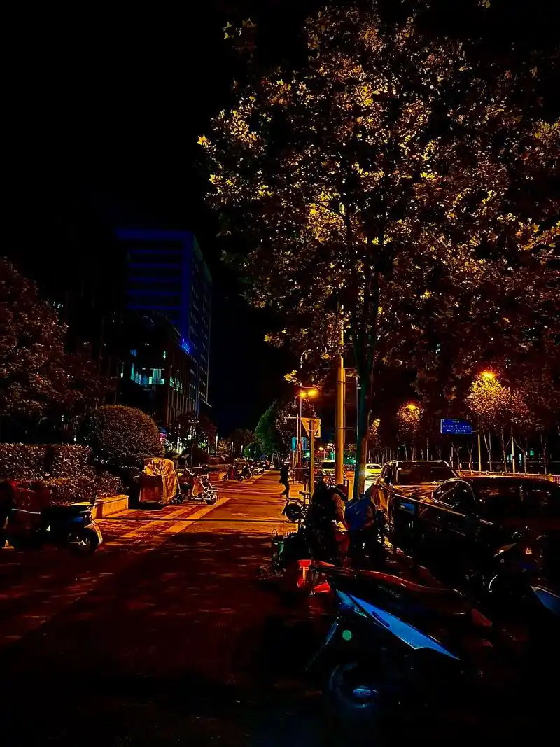 "所有女人都是伤透了才去爱钱的,哪有什么安全感,钱才是安全感 - 抖音