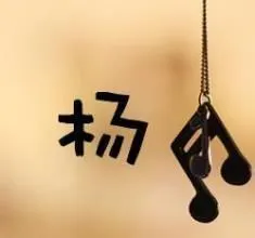 杨字的姓氏头像