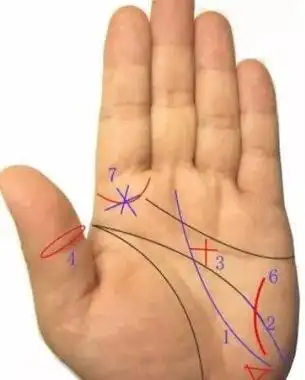 思维等;而乾位,代表人的头部,大脑,智慧,联想等,故掌纹中有通灵纹的人