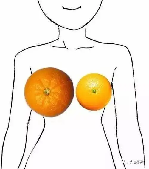 孕期的"二次发育",产后如何保持?_乳房