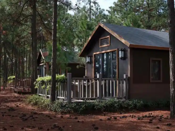 松林木屋树屋你爱了嘛