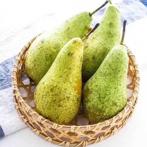 啤梨的功效及禁忌收藏吧