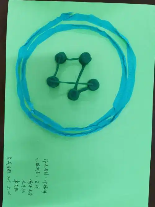 叶绿体结构模型