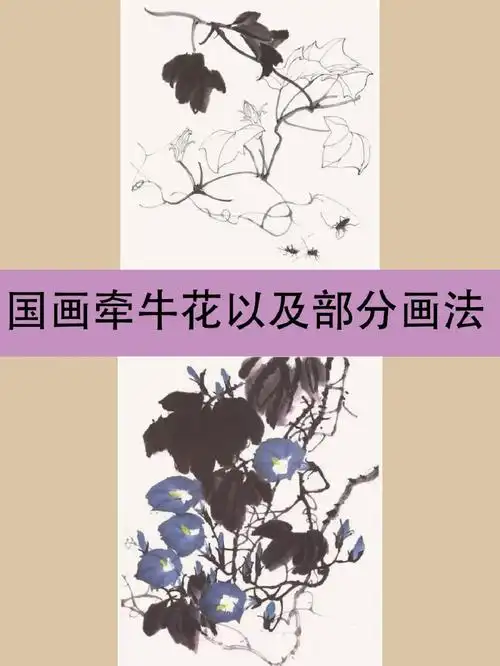 国画技巧:牵牛花以及部分画法